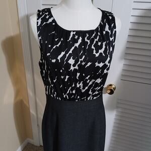Rafaella Sz 0 Sleeveless Animal Print Top Back Lined Skirt Bottom Blouson Dress